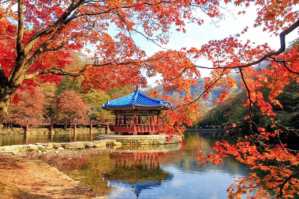 단풍에 둘러싸인 내장산 우화정
